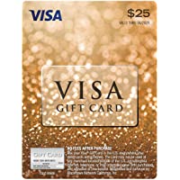 $25 Visa Gift Card (plus $3.95 Purchase Fee)
