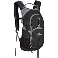 TETON Sports Oasis 18L Hydration Pack with Free 2-Liter water bladder; The perfect backpack for Hiking, Running, Cycling…