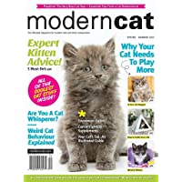 Modern Cat - 2 Year