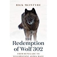The Redemption of Wolf 302: From Renegade to Yellowstone Alpha Male (The Alpha Wolves of Yellowstone Book 3)
