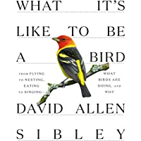 What It's Like to Be a Bird: From Flying to Nesting, Eating to Singing--What Birds Are Doing, and Why (Sibley Guides)