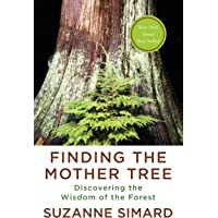 Finding the Mother Tree: Discovering the Wisdom of the Forest