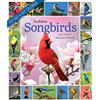 Audubon Songbirds and Other Backyard Birds Picture-A-Day Wall Calendar 2022: Your Daily Sighting of Songsters that Bring…