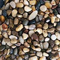 Galashield River Rocks Polished Pebbles Decorative Stones Natural Aquarium Gravel (2 lb Bag)