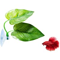Cousduobe Betta Fish Leaf Pad - Improves Betta's Health by Simulating The Natural Habitat（ Double Leaf Design, one Big…