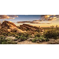AWERT Reptile Habitat Background Blue Sky Oasis Cactus Sun and Desert Terrarium Background Durable Polyester Background