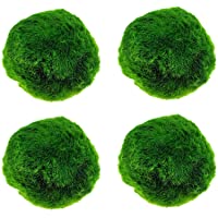 Kairuos 4PCS Aquarium Moss Balls,Live Aquarium Plants Green Moss Decorative Ball for Fish Tank Ornaments Freshwater…
