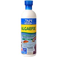 API MARINE ALGAEFIX Algae Control 16-Ounce Bottle (387D)