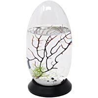 EcoSphere Closed Aquatic Ecosystem with Revolving Base