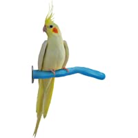 Sweet Feet and Beak Safety Pumice Perch for Birds Features Pumice to Trim Nails and Beak and Promote Healthy Feet - Safe…