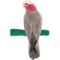 Sweet Feet and Beak Comfort Grip Safety Perch for Bird Cages - Patented Pumice Perch for Birds to Keep Nails and Beaks…