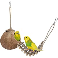 Niteangel 100% Natural Coconut Hideaway with Ladder, Bird and Small Animal Toy