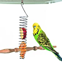 Bird Food Holder, Parrots Foraging Toys for Birdcage, Hanging Stainless Steel Bird Treat Feeders, Bird Food Basket for…