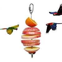 zhuohai Bird Food Holder,Bird Feeder Toy,Foraging Toy,Bird Food Treat Skewer,Stainless Steel Parrot Fruit Vegetable…