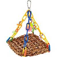 Super Bird Creations SB747 Bright Colorful Mini Flying Trapeze Chewable Bird Toy, Small Size, 6” x 7” x 9”