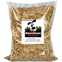 Downtown Pet Supply Dried Mealworms 100% Natural Treats for Wild Birds, Chickens, Reptiles, Fish - Food for Birds…