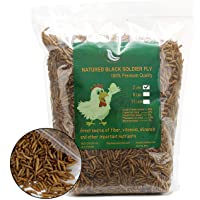 WAMSOFT Non-GMO Dried Mealworms, 100% Natural Large Size No Moisture,Mealworm for Birds Chickens Hedgehog Hamster Fish…