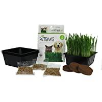 Handy Pantry Organic Cat Grass Kit | Includes Everything You Need: 3 Trays, 3 Soil Pucks, and 3 Packs Non GMO Wheatgrass…