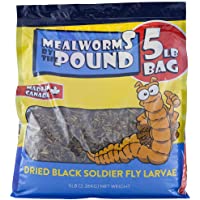 North American Dried Black Soldier Fly Larva - Treats for Chickens & Wild Birds (5 Lbs)
