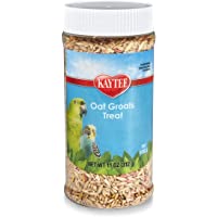 Kaytee Oat Groats Treat Jar for Pet Birds