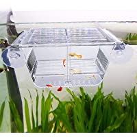 capetsma Fish Breeding Box, Acrylic Fish Isolation Box with Suction Cups, Aquarium Acclimation Hatchery Incubator for…