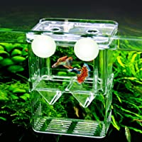 Fortune-star Fish Breeding Box, Acrylic White Fish Isolation Box with Suction Cups Suitable for Hatching, Breeder and…