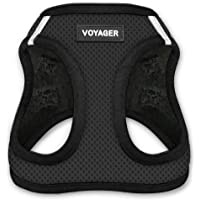 Voyager Step-in Air Dog Harness - All Weather Mesh Step in Vest Harness for Small and Medium Dogs by Best Pet Supplies