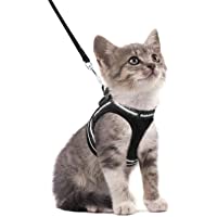 rabbitgoo Cat Harness and Leash Set for Walking Escape Proof, Adjustable Soft Kittens Vest with Reflective Strip for…
