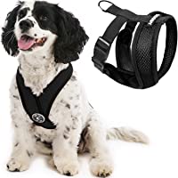 Gooby Comfort X Head in Harness - No Pull Small Dog Harness with Patented Choke-Free X Frame - Perfect on The Go Dog…