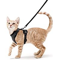 rabbitgoo Cat Harness and Leash for Walking, Escape Proof Soft Adjustable Vest Harnesses for Cats, Easy Control…