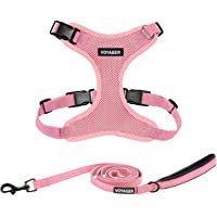 Best Pet Supplies Voyager Step-In Lock Pet Harness – All Weather Mesh, Adjustable Step in Harness for Cats and Dogs