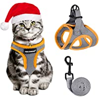 FAYOGOO Cat Harness and Leash for Walking Escape Proof, Adjustable Cat Leash and Harness Set, Lifetime Replacement…