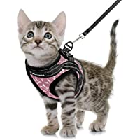 CatRomance Cat Harness and Leash, Escape Proof Kitten Harness and Leash Set for Walking, Adjustable Cat Vest Harness for…