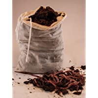 50 Count Red Wiggler Live Organically Raised Premium Red Wiggler Composting Worms - FoothillSierraGarden, Raised in…