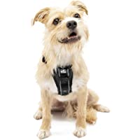 Kurgo Tru-Fit Smart Harness, Dog Harness, Pet Walking Harness, Quick Release Buckles, Front D-Ring for No Pull Training…