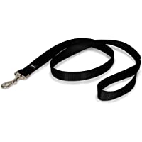 PetSafe Nylon Dog Leash - Strong, Durable, Traditional Style Leash with Easy to Use Bolt Snap - Available in Multiple…