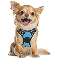 rabbitgoo Dog Harness, No-Pull Pet Harness with 2 Leash Clips, Adjustable Soft Padded Dog Vest, Reflective No-Choke Pet…