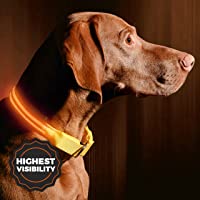 ILLUMISEEN LED Dog Collar USB Rechargeable – Bright & High Visibility Lighted Glow Collar for Pet Night Walking…