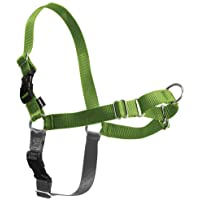 PetSafe Easy Walk No Pull Dog Harness: Stop Pulling & Choking - Martingale Front Clip - Chest Halter Helps With Dog…