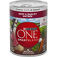 Purina ONE SmartBlend Canned Wet Dog Food