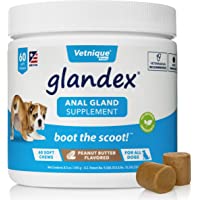 Glandex Anal Gland Soft Chew Treats with Pumpkin for Dogs 60ct Chews with Digestive Enzymes, Probiotics Fiber Supplement…