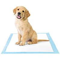 Amazon Brand - Solimo Super Absorbent Puppy Pads