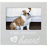Pearhead Pet Forever In My Heart Memorial Keepsake Picture Frame, Gray