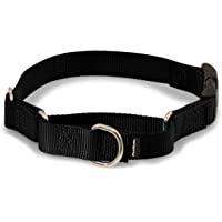PetSafe Adjustable Martingale Collar with Buckle - Tightens When Dogs Pull, Prevents Slipping Out - Helps with Strong…