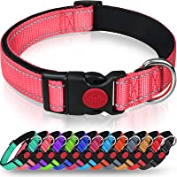 Taglory Reflective Dog Collar with Safety Locking Buckle, Adjustable Nylon Pet Collars for Puppy Small Medium Large and…