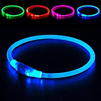 BSEEN LED Dog Collar, USB Rechargeable, Glowing Pet Dog Collar for Night Safety, Fashion Light up Collar for Small…