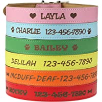 Custom Catch Personalized Dog Collar - Engraved Soft Leather in XS, Small, Medium or Large Size, ID Collar, No Pet Tags…