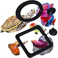 Zvaiuk 2pcs Fish Feeding Ring, ABS Material Floating Food Feeder with Suction Cup, Aquarium Fish Tank Fish Food Feeder…