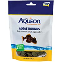Aqueon Algae Rounds Algae Eater Fish Food