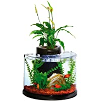 Elive AquaDuo 3 Gallon Betta Aquarium Fish Tank Kit, LED Lighting, Aquaponic and Power Filter, Cartridges and Hydrocorn…